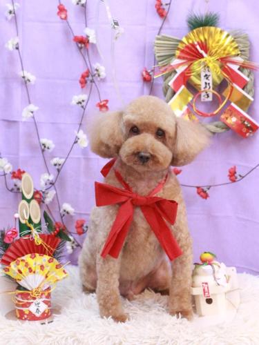 20230129ケンくん